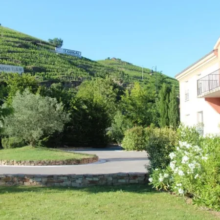 Hotel Le Domaine Des Vignes