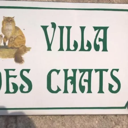 la villa des chats