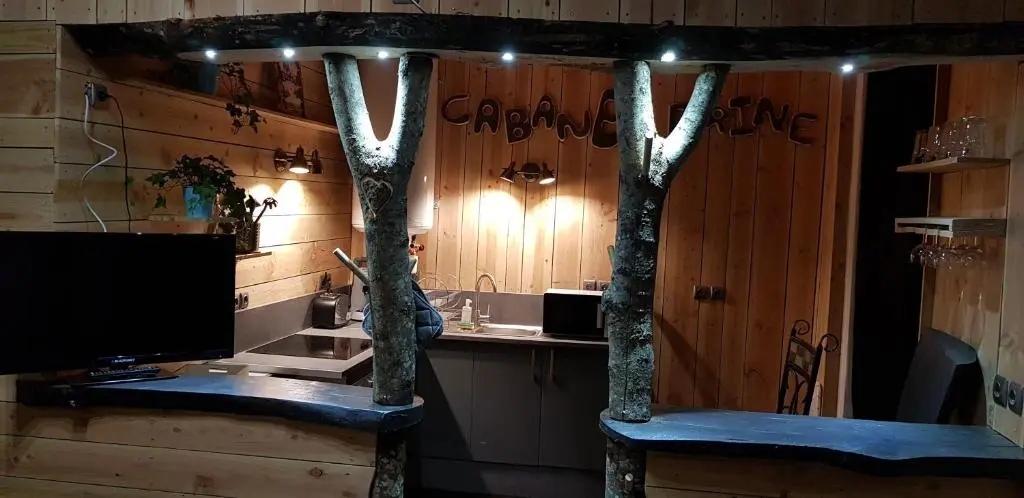 CABANE a DRINE