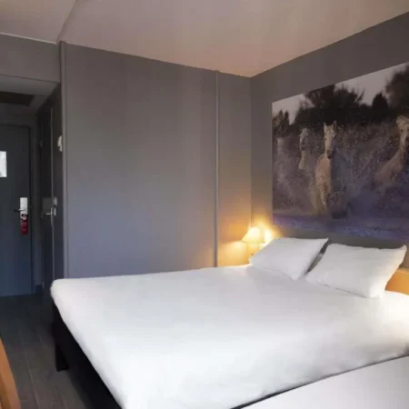 ibis Arles