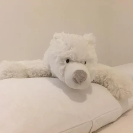 La Taniere de l&rsquo;Ours Blanc, Appartement meuble, cosy et douillet
