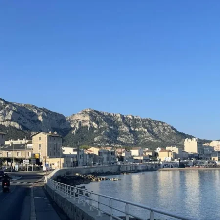 Balaena