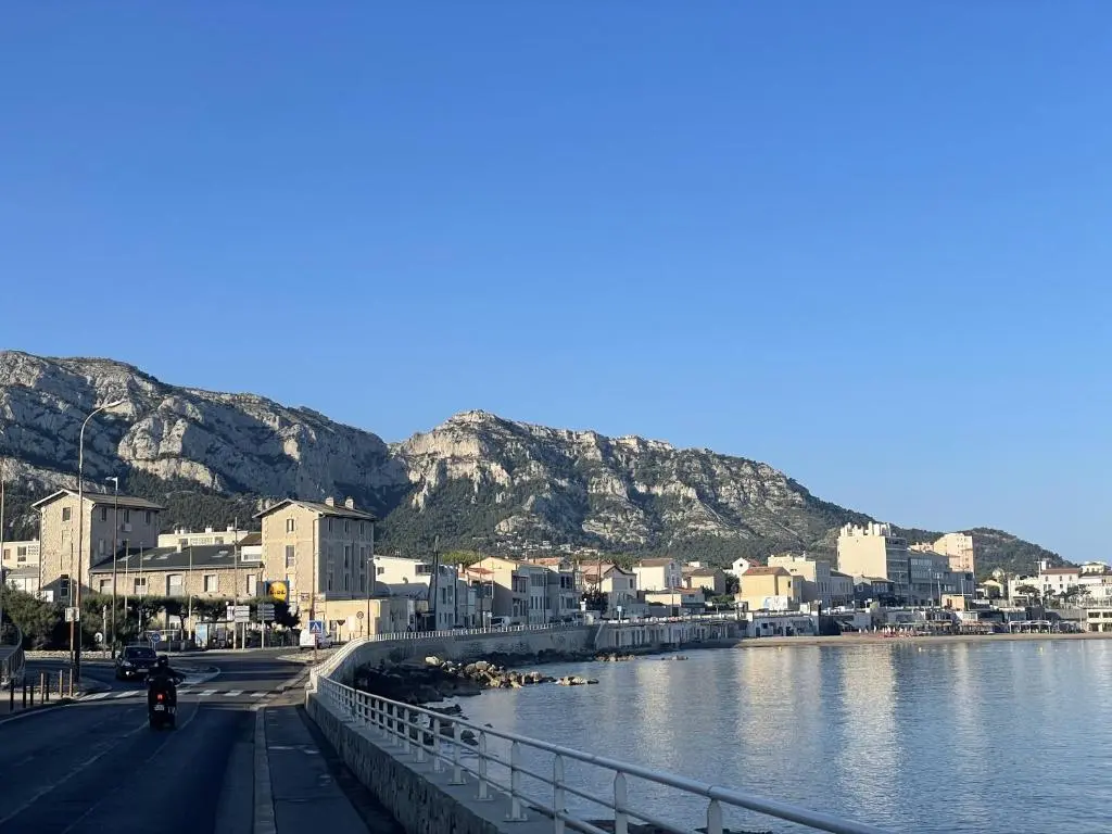 Balaena