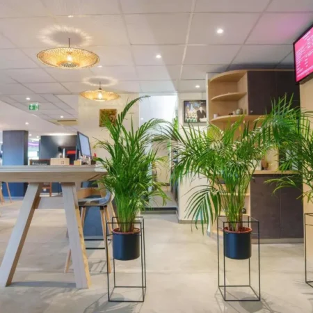 ibis Laon