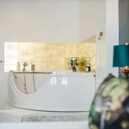 Les Precieuses Suites & SPA – Jacuzzi Privatif- Apparts Hotel Deluxe Avignon