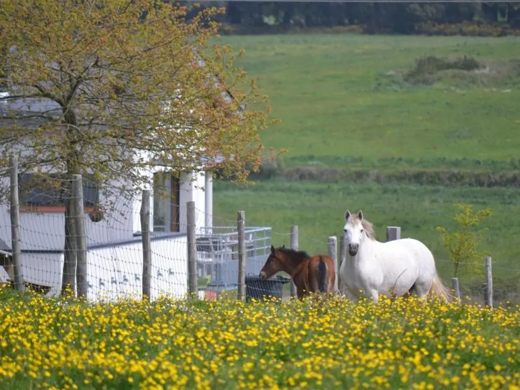 Les Hauts de Toulvern