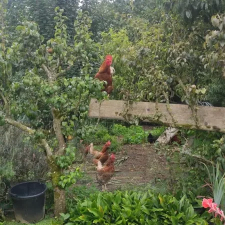 Bienvenue Chez Joelle et Andre