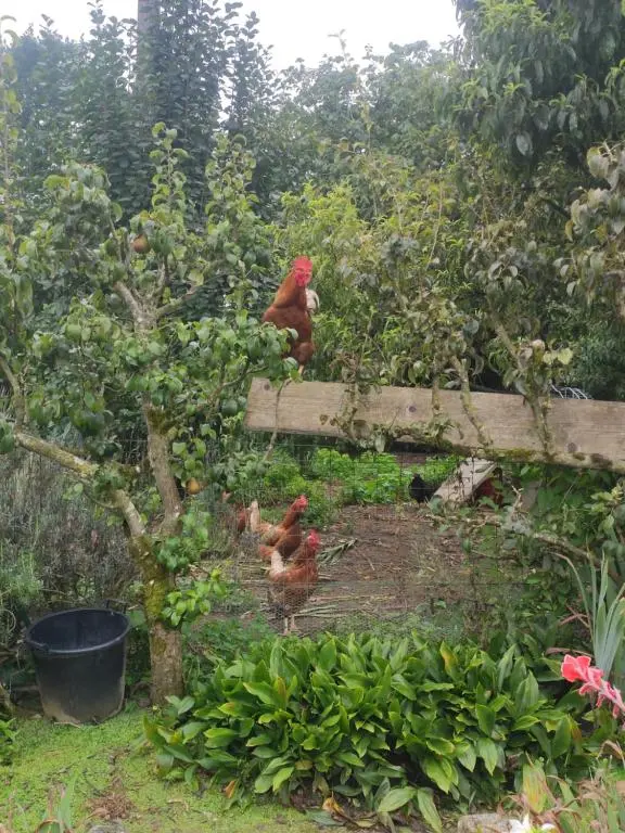 Bienvenue Chez Joelle et Andre