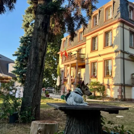 Hotel Le Manoir
