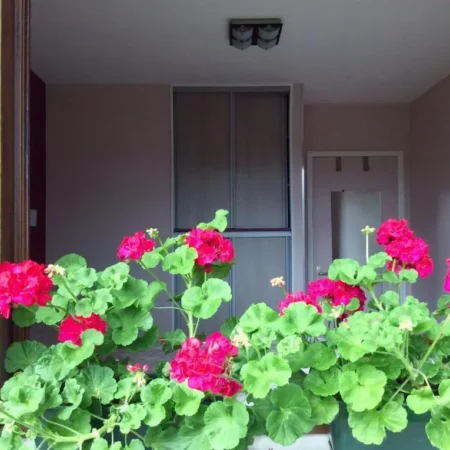 Chambre tout confort du Tilleul