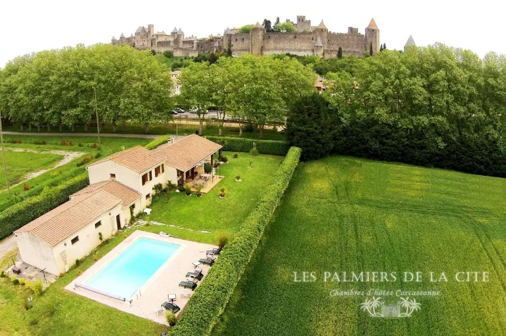 Les Palmiers de la Cite