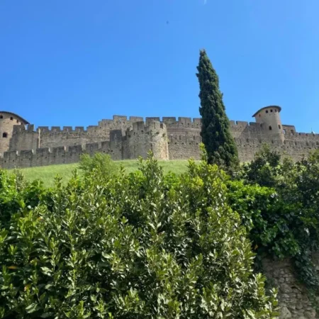 Les chemins de la cite