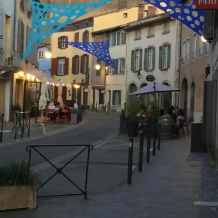 Hotel du Pont Vieux
