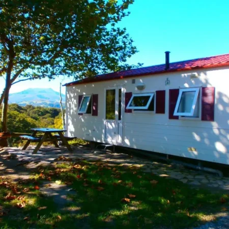 Camping Manex