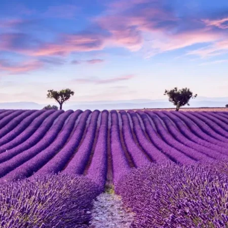 Chateau d’Allemagne en Provence