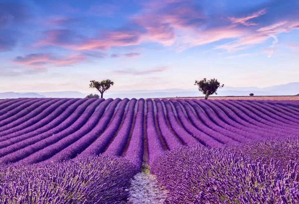 Chateau d’Allemagne en Provence