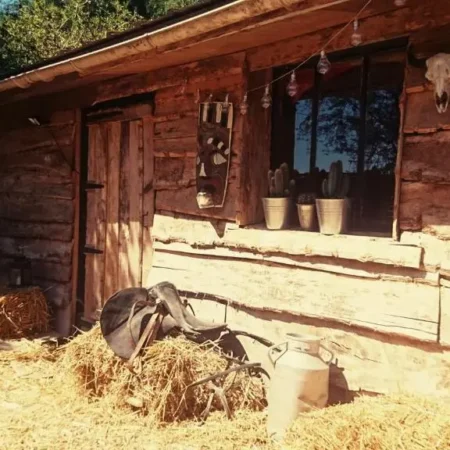 La Cabane Aux Loups