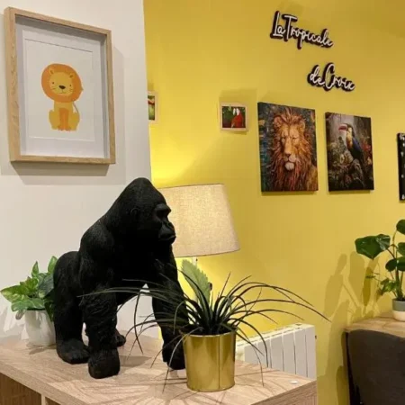 La Tropical de Croix – Chambre d’Hotes