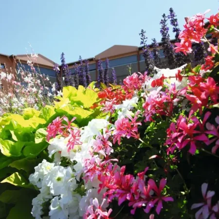 Les Terrasses de Borda