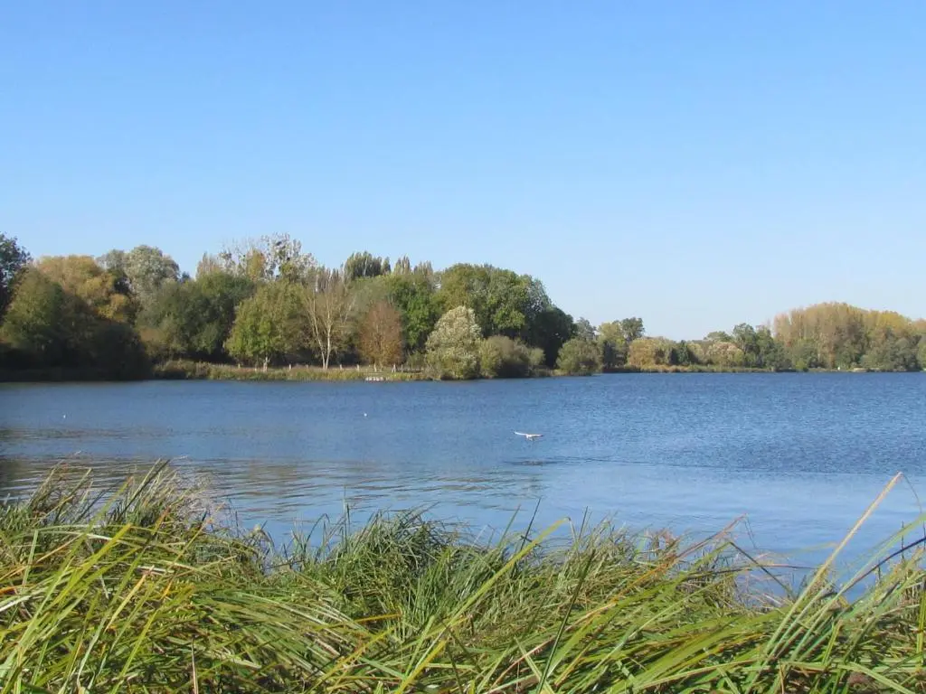 Au Bord de L’Eau