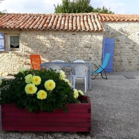 maison neuve
