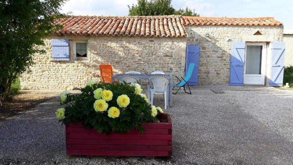 maison neuve