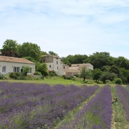 Les Anes de Forcalquier