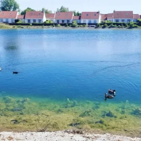 Maison au bord du lac des herons