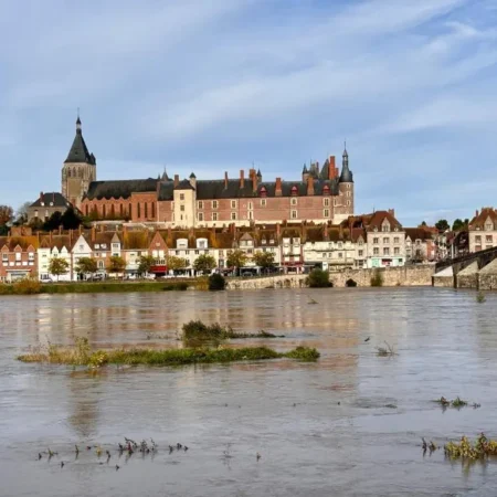 Gite Gien LE REPOS DU MARINIER Vue Loire