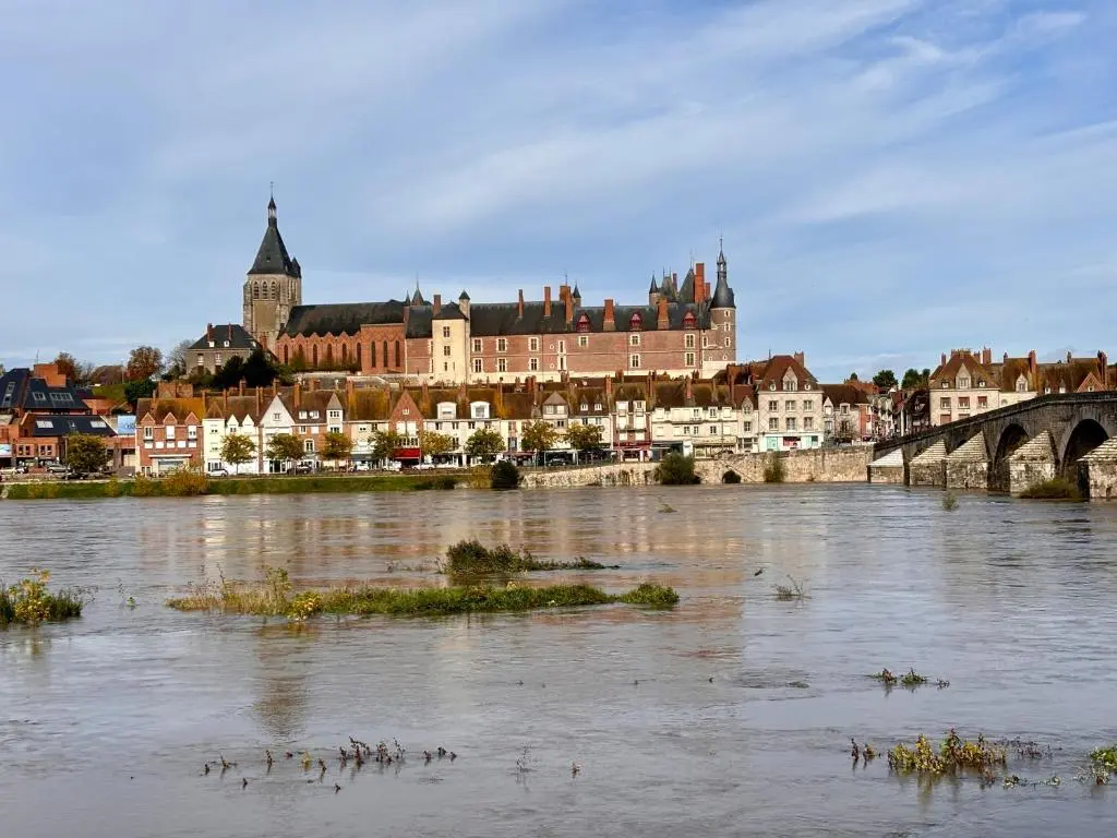 Gite Gien LE REPOS DU MARINIER Vue Loire