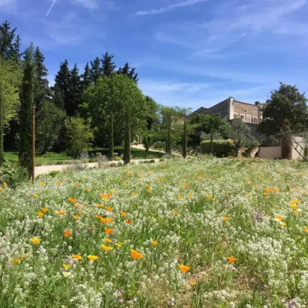 Domaine Les Martins Guest house, Bed and Breakfast/chambres d&rsquo;hotes piscine/swi. pool in the Luberon