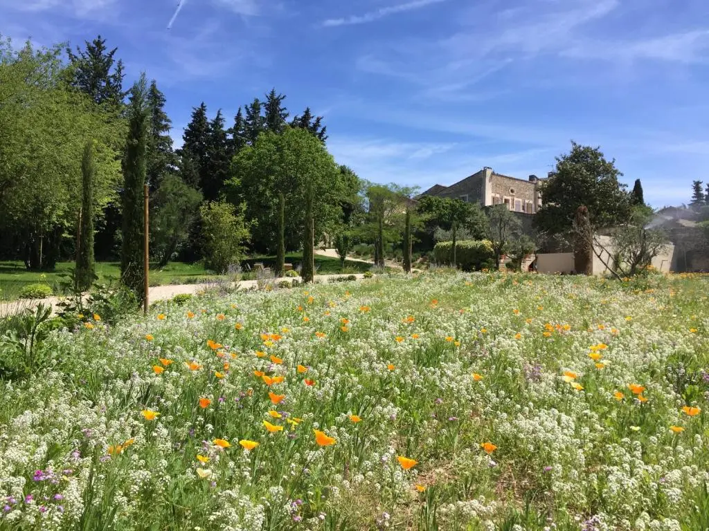 Domaine Les Martins Guest house, Bed and Breakfast/chambres d’hotes piscine/swi. pool in the Luberon