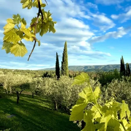 Provence Km28