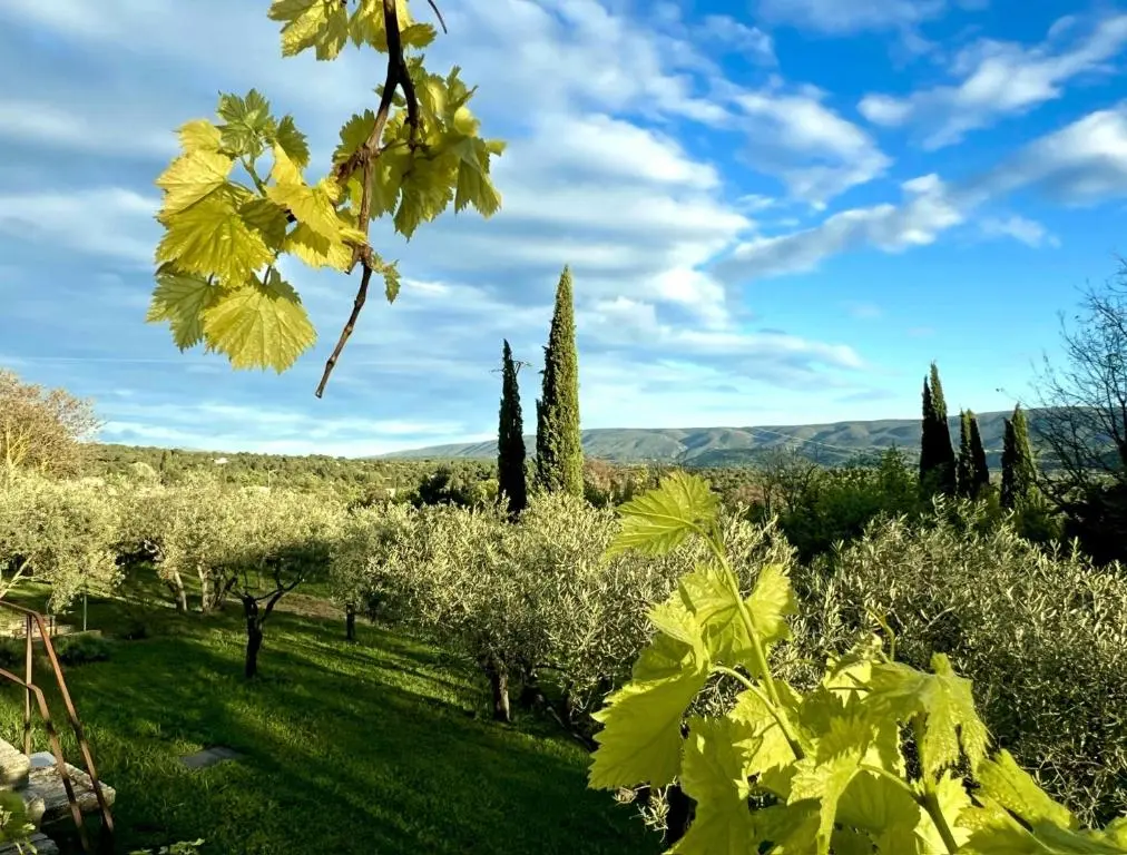Provence Km28