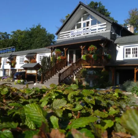 Hotel Restaurant Les Pins