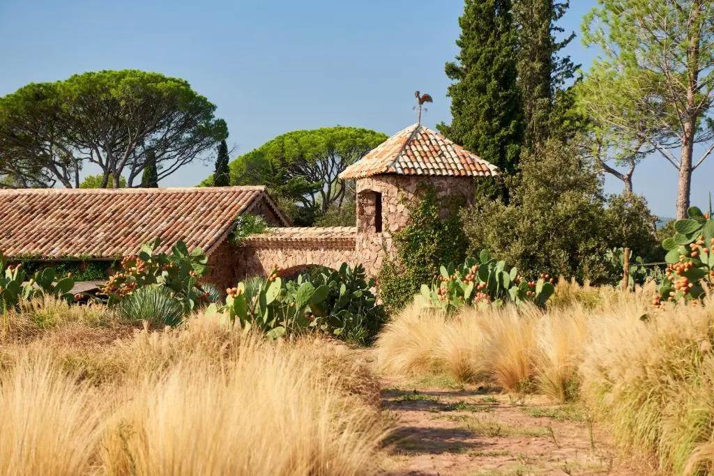 Chateau Saint Roux