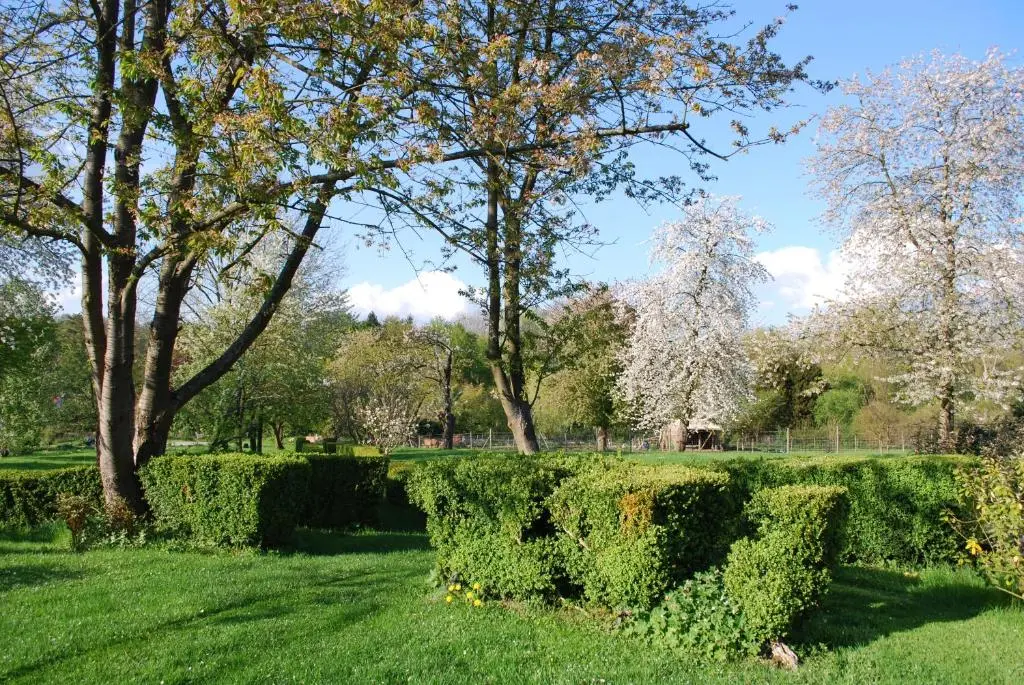 Aux Fleurs de Cerises