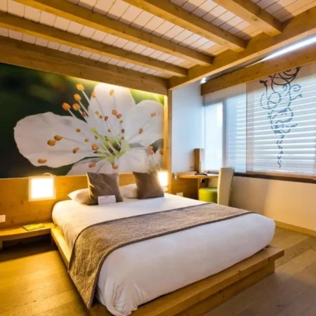 Hotel La Croix de Savoie & SPA