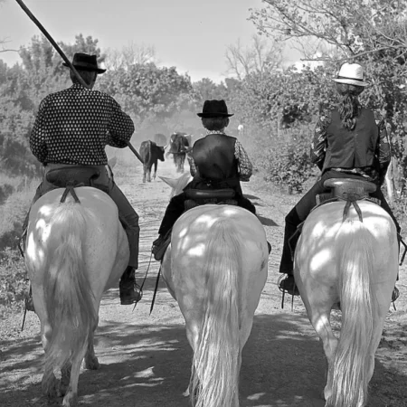 Mas du Menage en Camargue Manade Clauzel