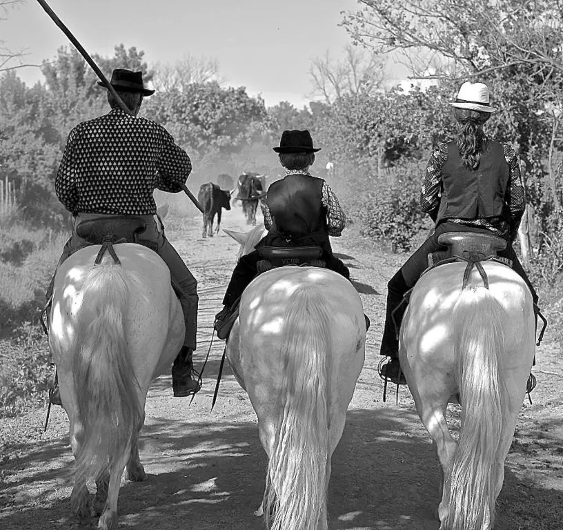 Mas du Menage en Camargue Manade Clauzel