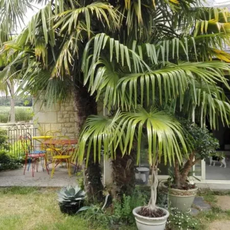 La Motelle