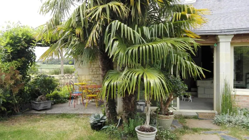 La Motelle