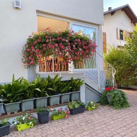 Appartement Le Jardin