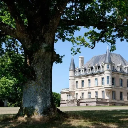 Chateau de la Goujonnerie