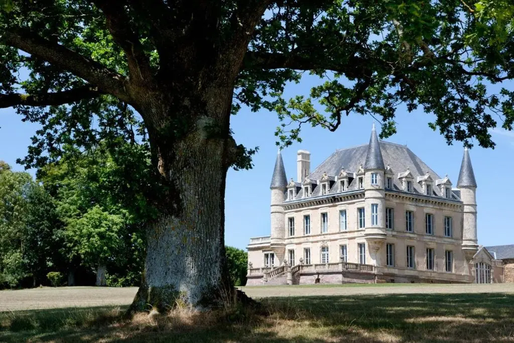 Chateau de la Goujonnerie