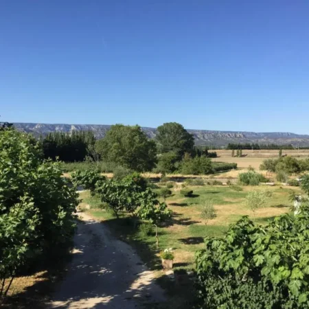 Auberge Les Olivades