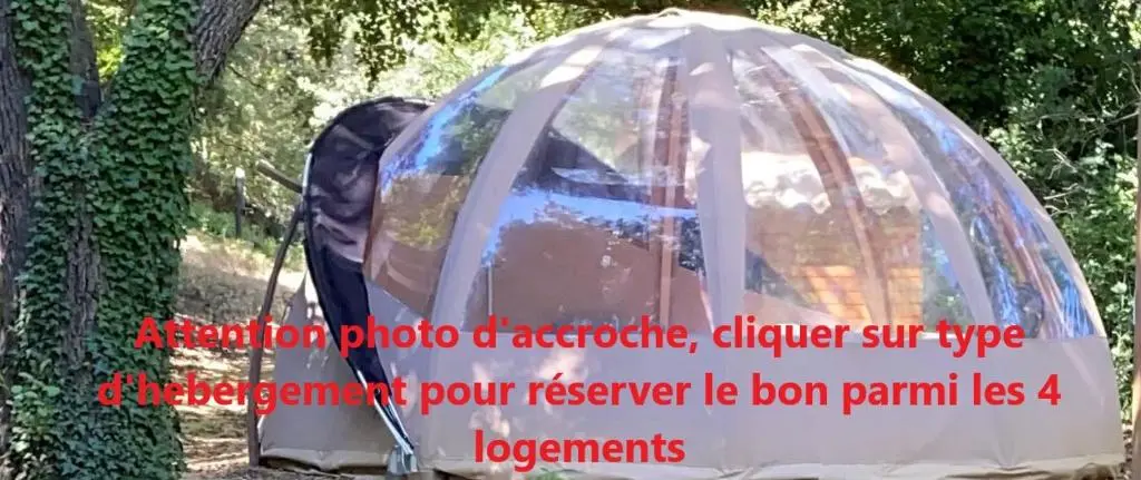Nuit etoilee