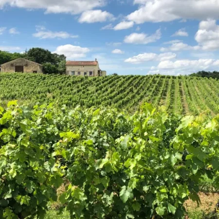 Chateau le Truch