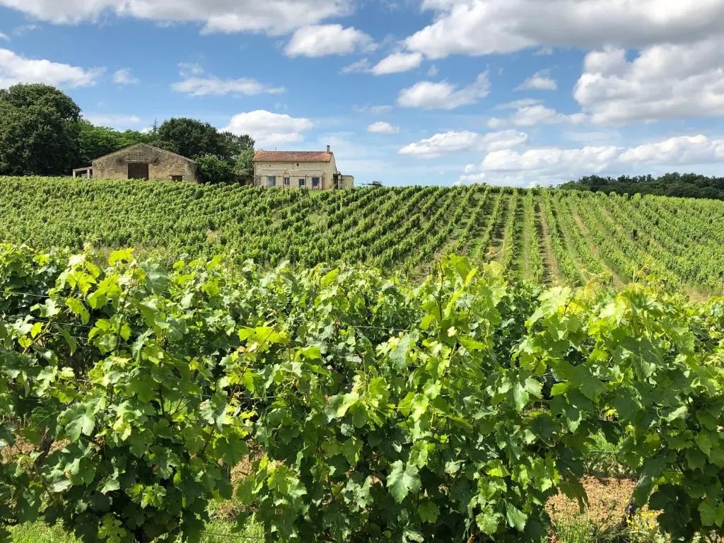Chateau le Truch