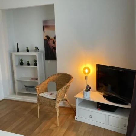 Appart aux deux colombes Pamiers